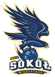 MKS SOKOL MIĘDZYCHÓD Team Logo